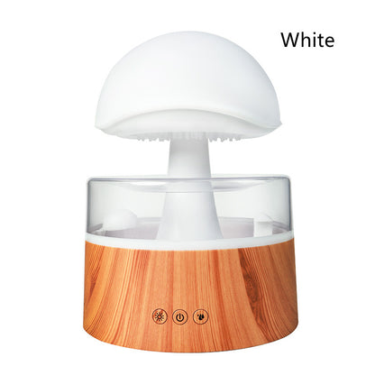 Rain Cloud Humidifier