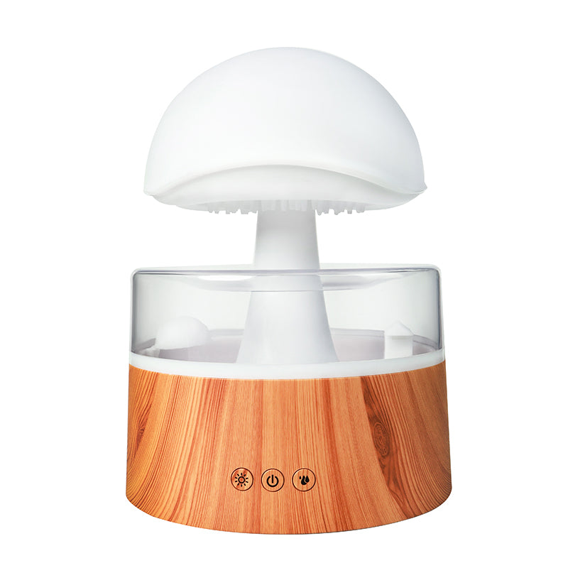 Rain Cloud Humidifier