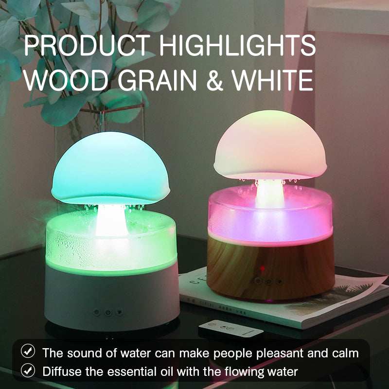 Rain Cloud Humidifier